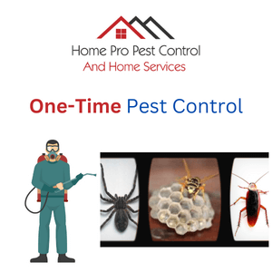 professional pest control company